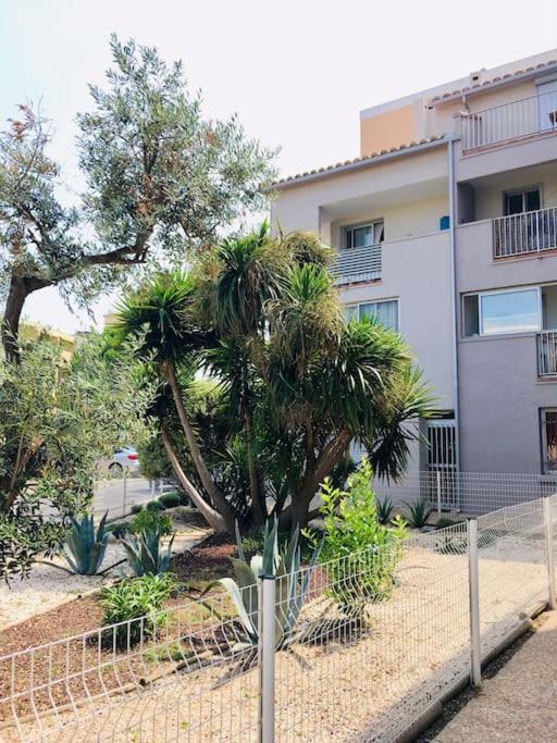 Appartement T2 Au Port De Canet-En-Roussillon - Proche De La Plage Et De L'Aquarium Oniria Εξωτερικό φωτογραφία